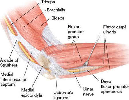 elbow injury treatment